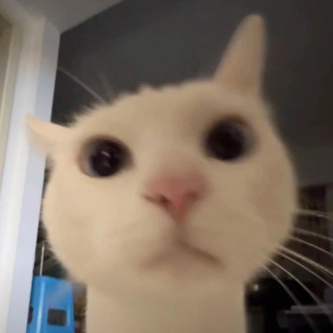我是男的