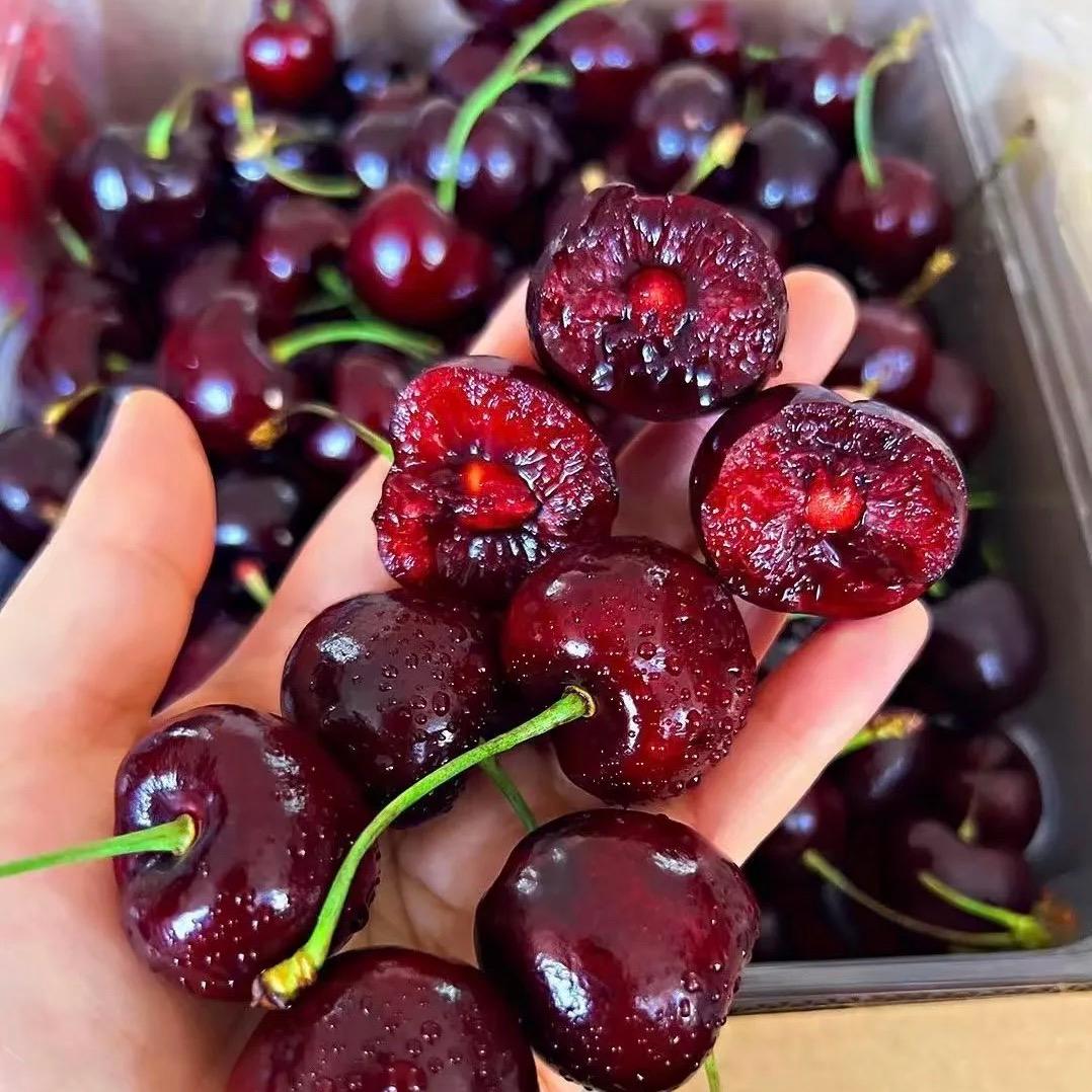 车厘子明日到家