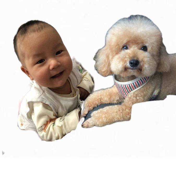 胖哼哼