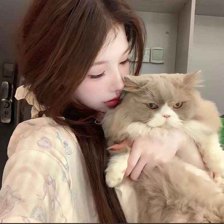 杨杨小卖铺