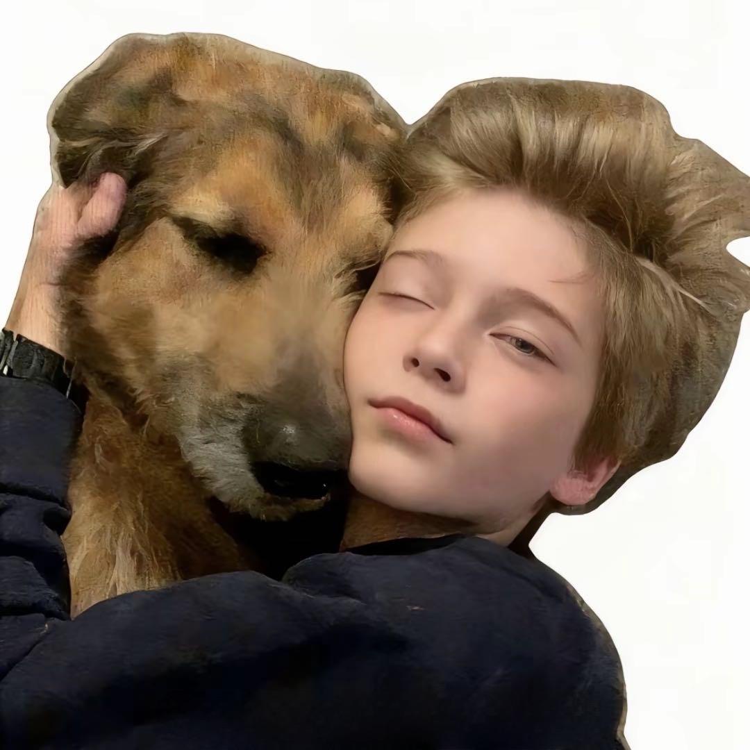 Zymccccc