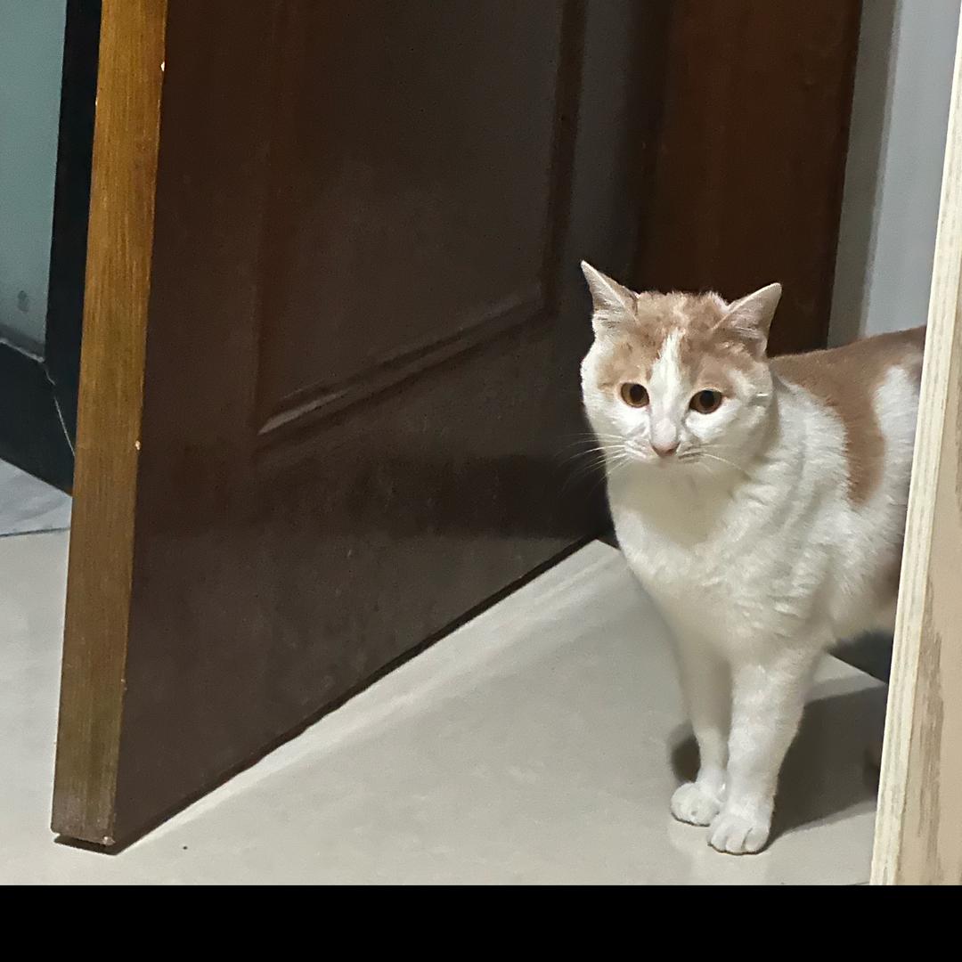 阿伟(女枪前男友）