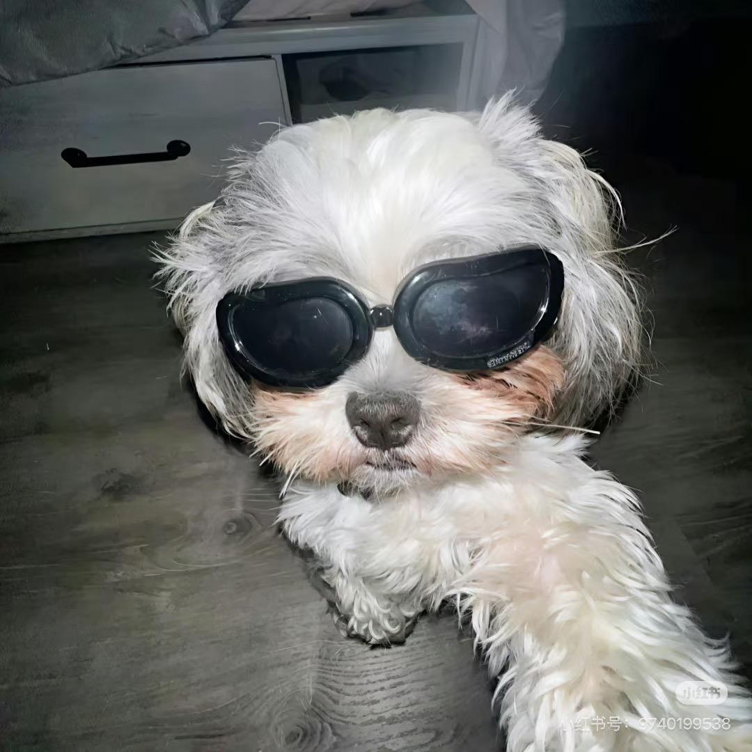 子正👑