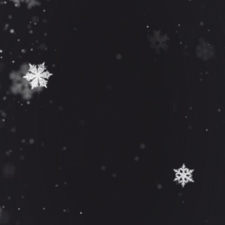 货不吃