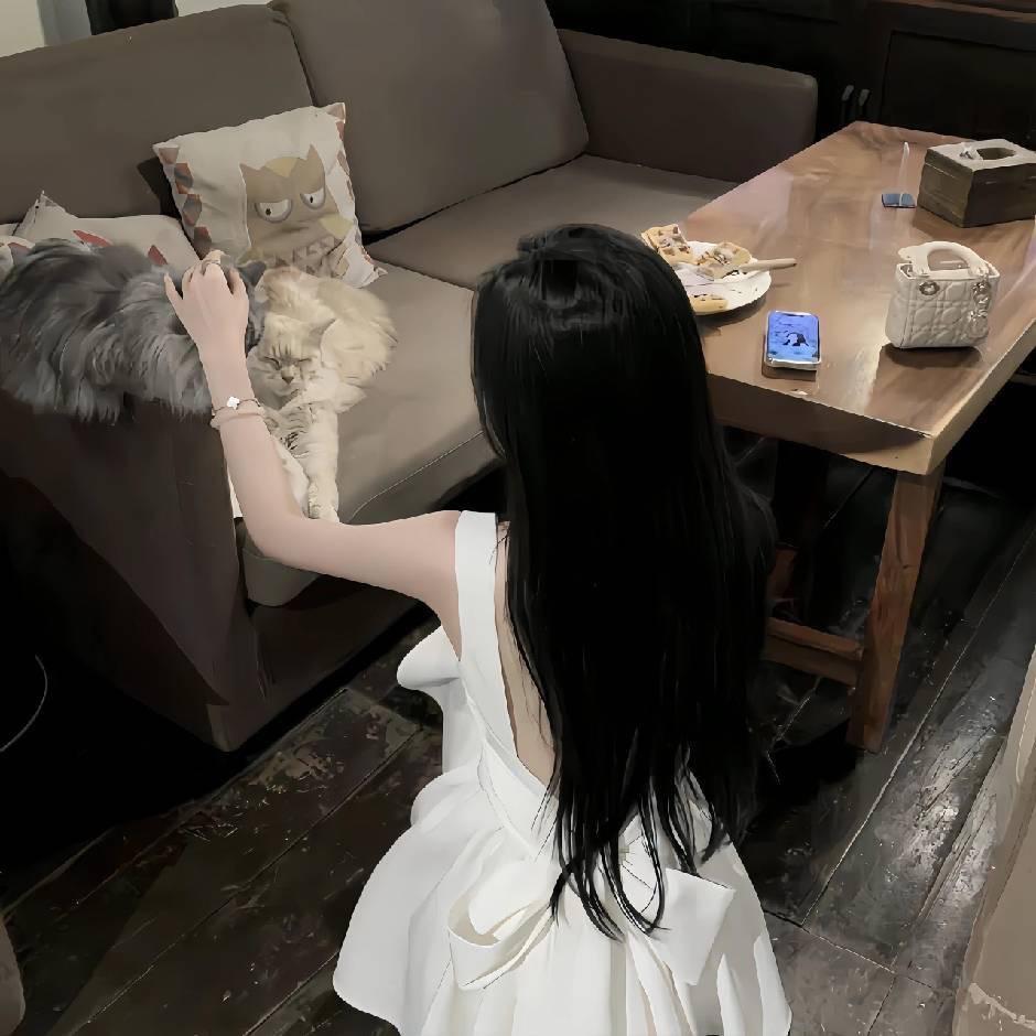 录路通行车记录仪