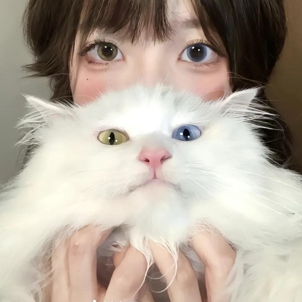 小冻梨🍐