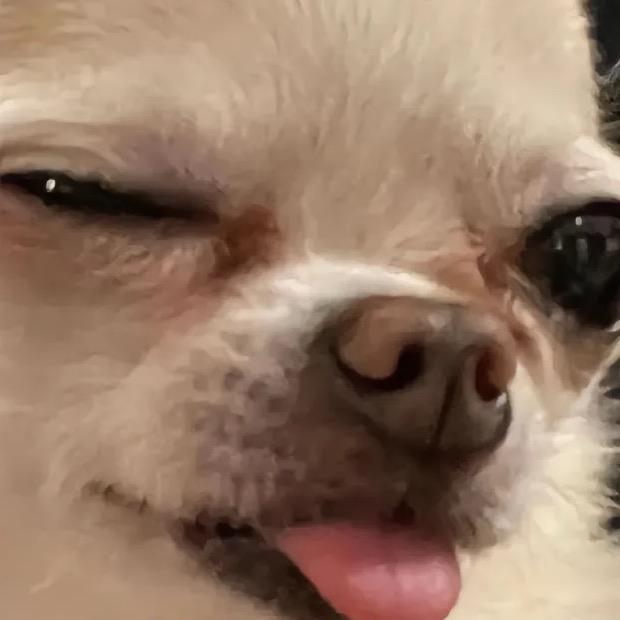 张张张张张张张张张张张张张张张张张张张张