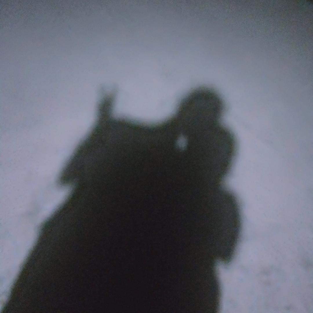 李大伟