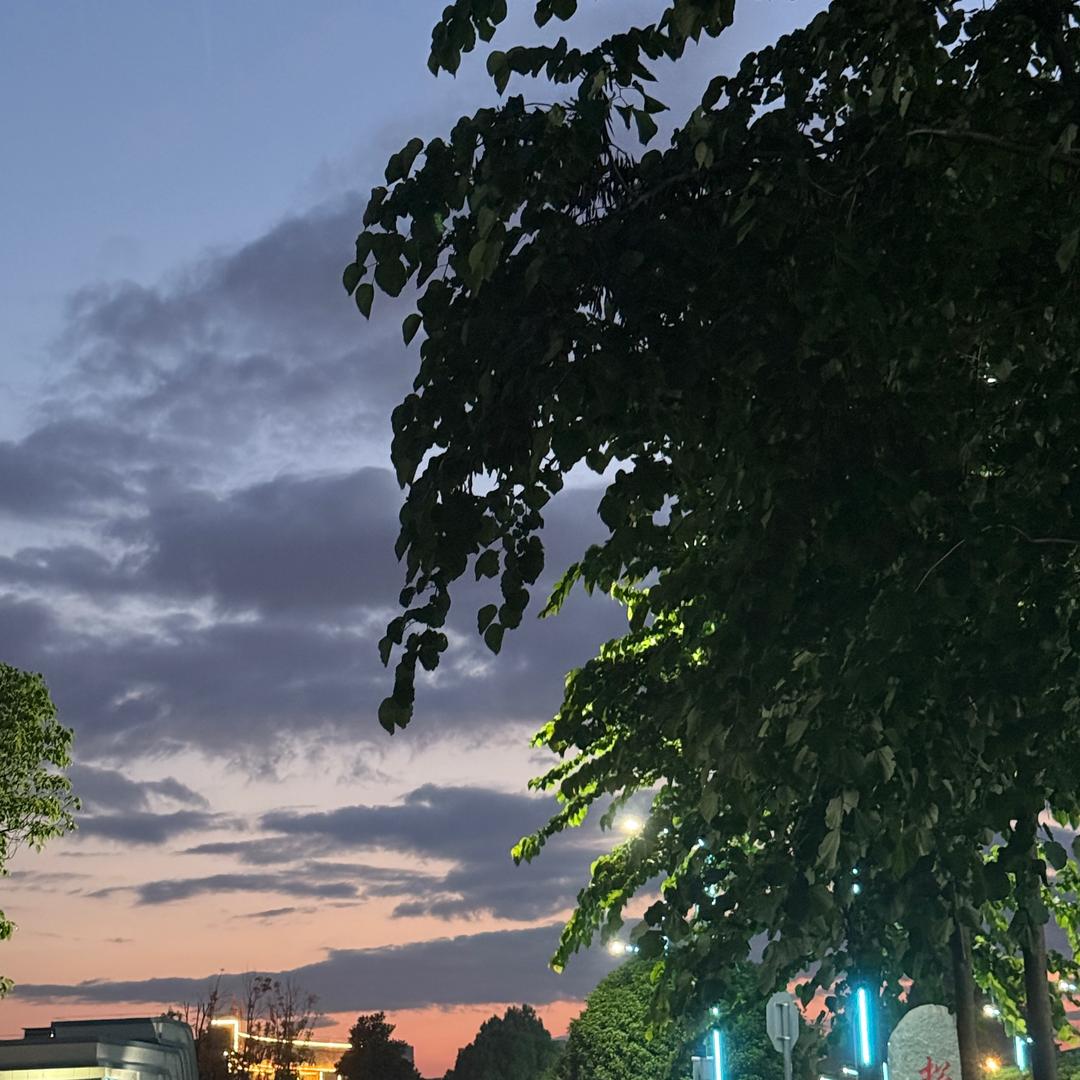 小羊咩的小家🐑