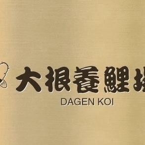 大根锦鲤