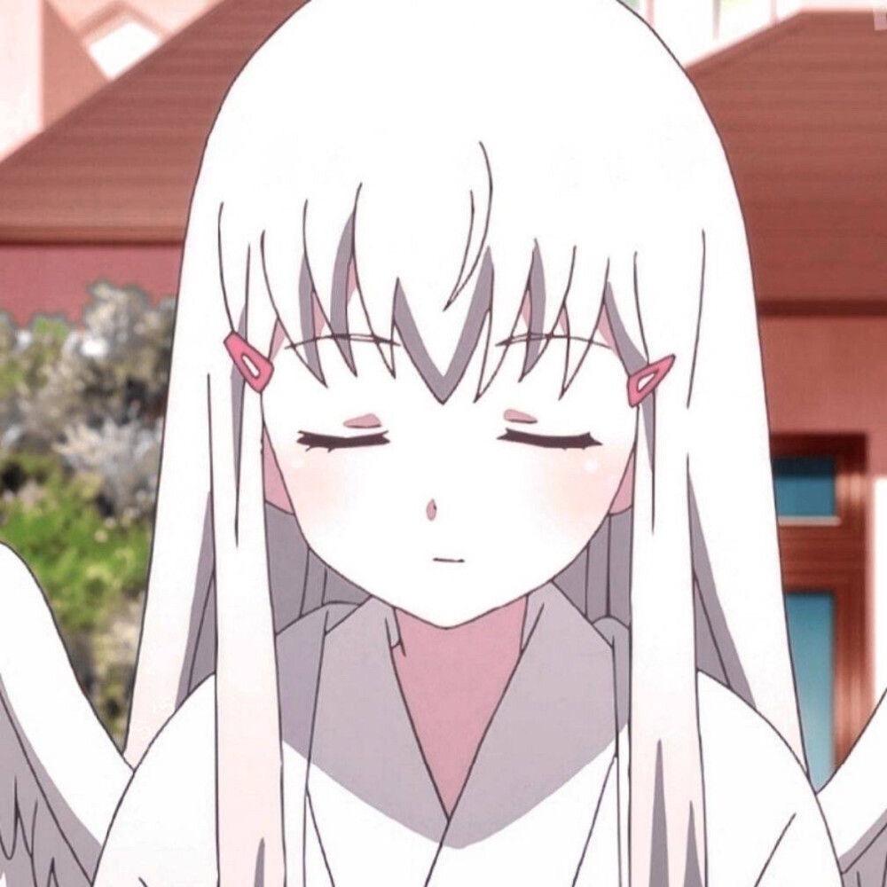 有趣的知识77