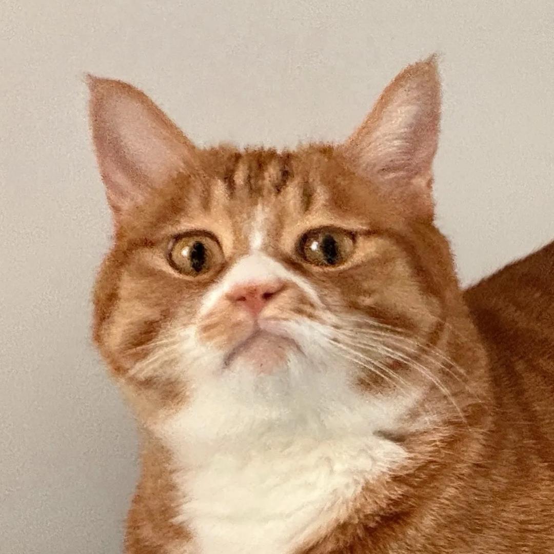 妖艳无敌美少女