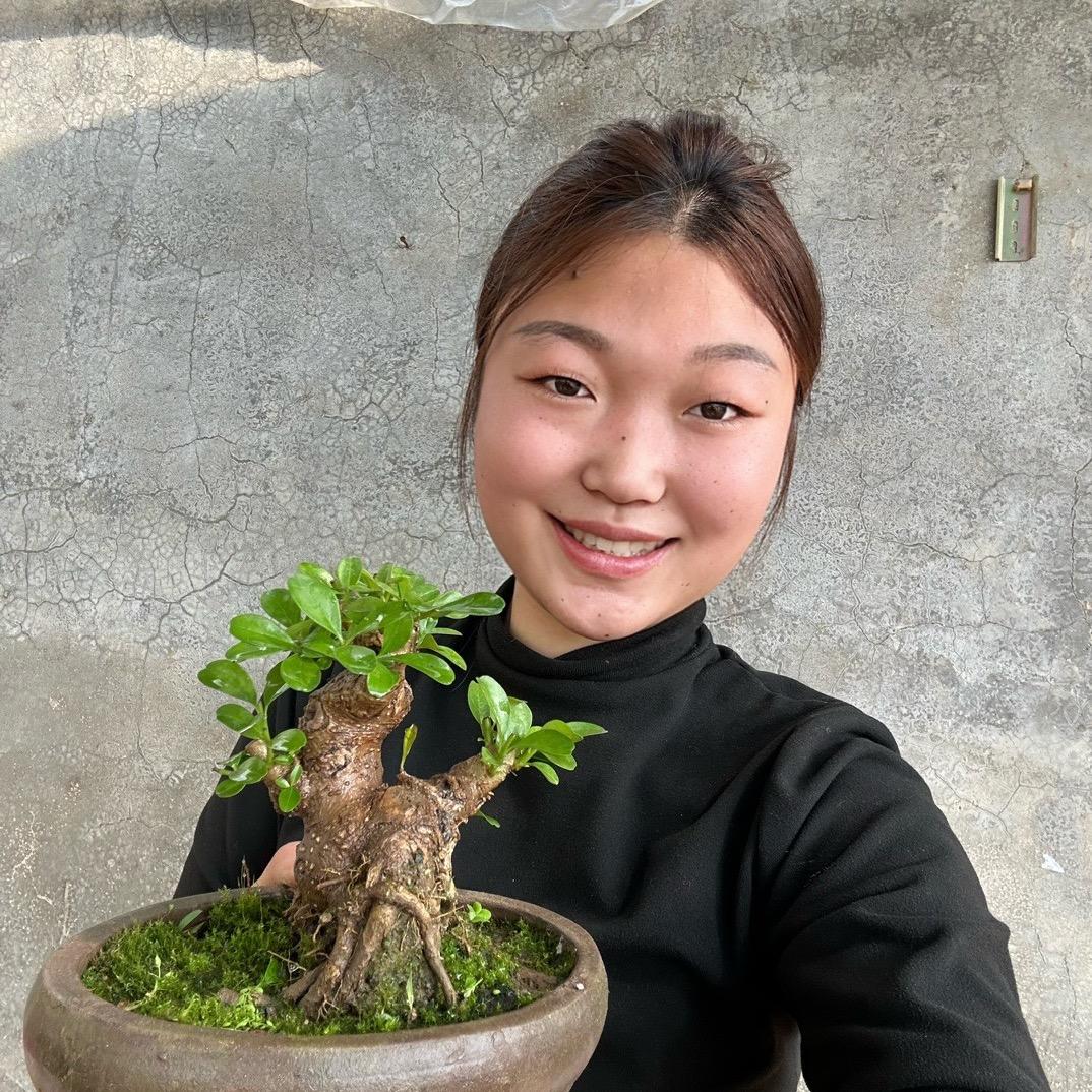 荣峰微型盆景园