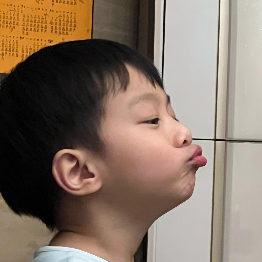 一只柠檬宝🍋