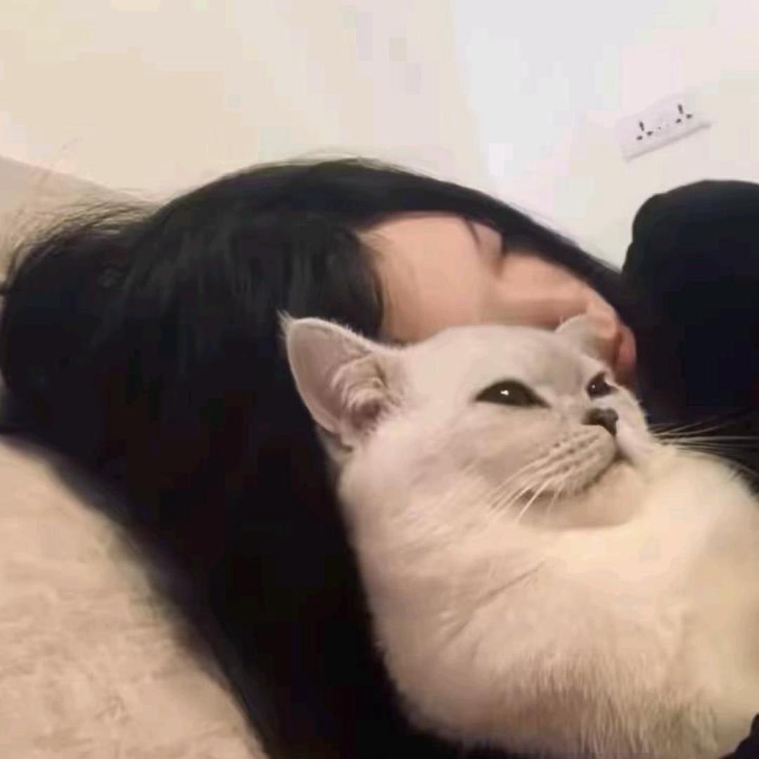 你脸红什么