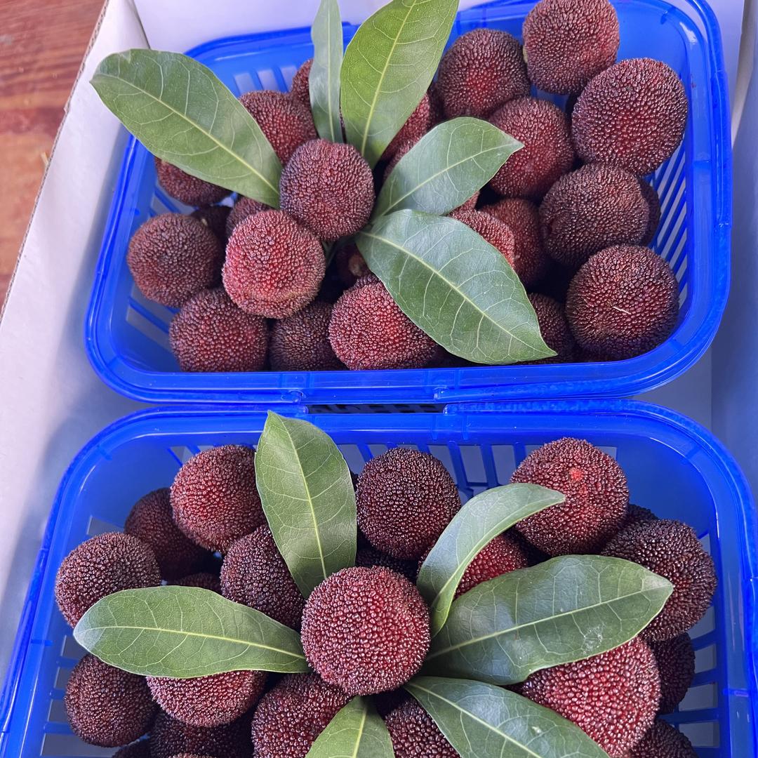 仙居博盈水果店