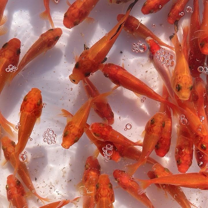 一滴水