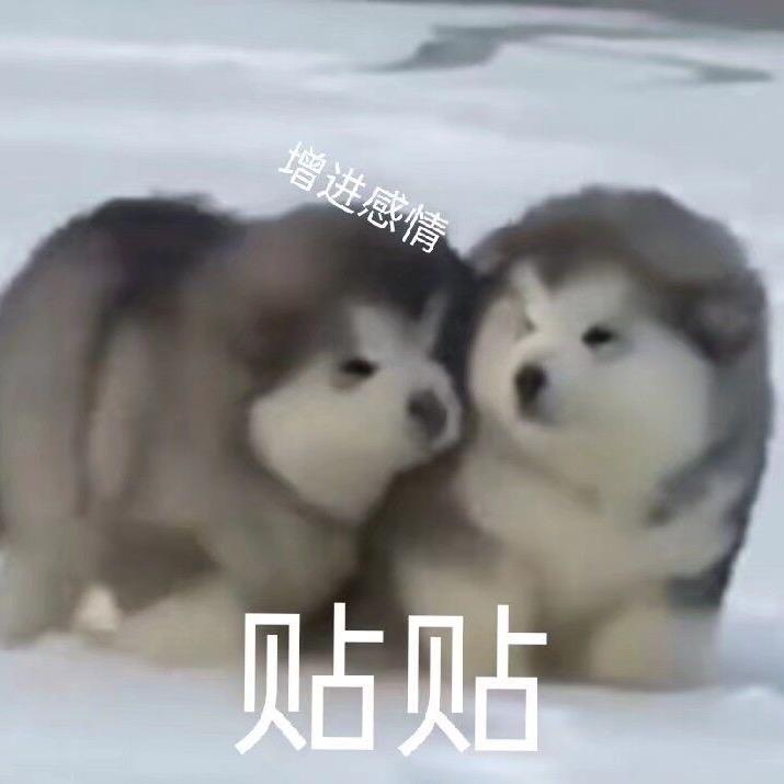 塔塔✨