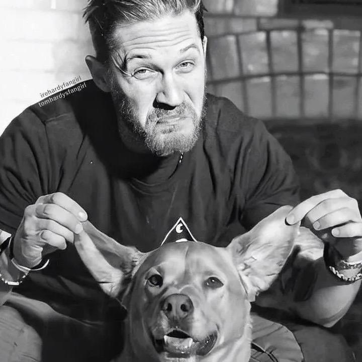 初心如磬（有关必回）