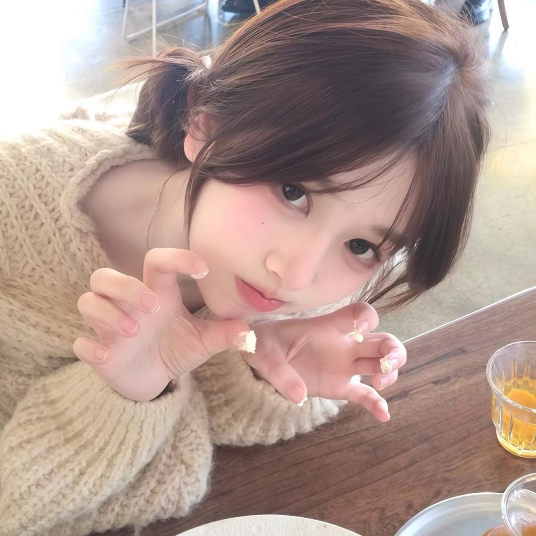 呆猫