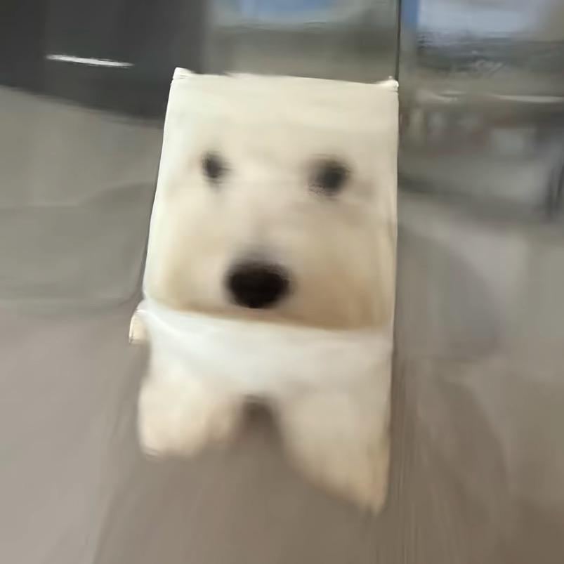 天上地下唯我独帅