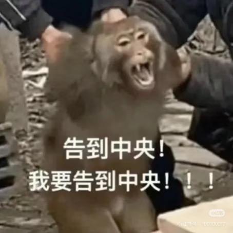 绿城湖畔和庐骗的我好惨
