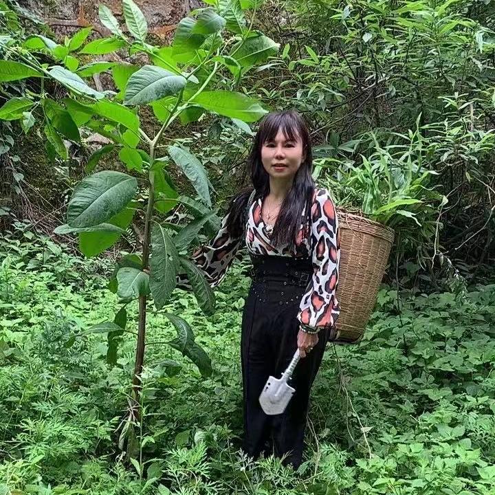 兴鑫百草