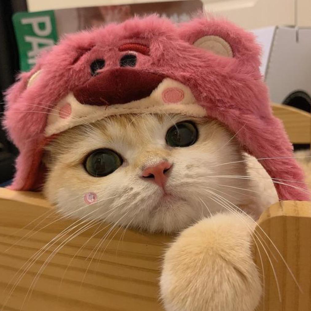 佩兰