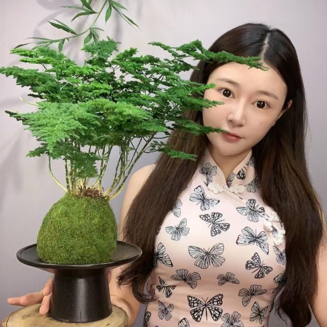 敏敏的秘密花园