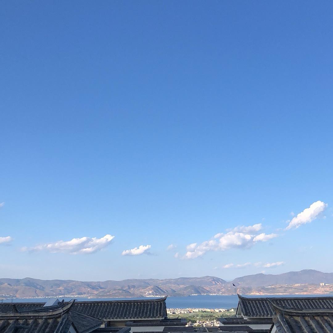 箫莉贸易-莉莉