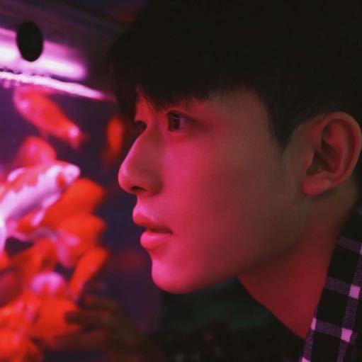 鲨鱼辣椒🌵🌕@抖音