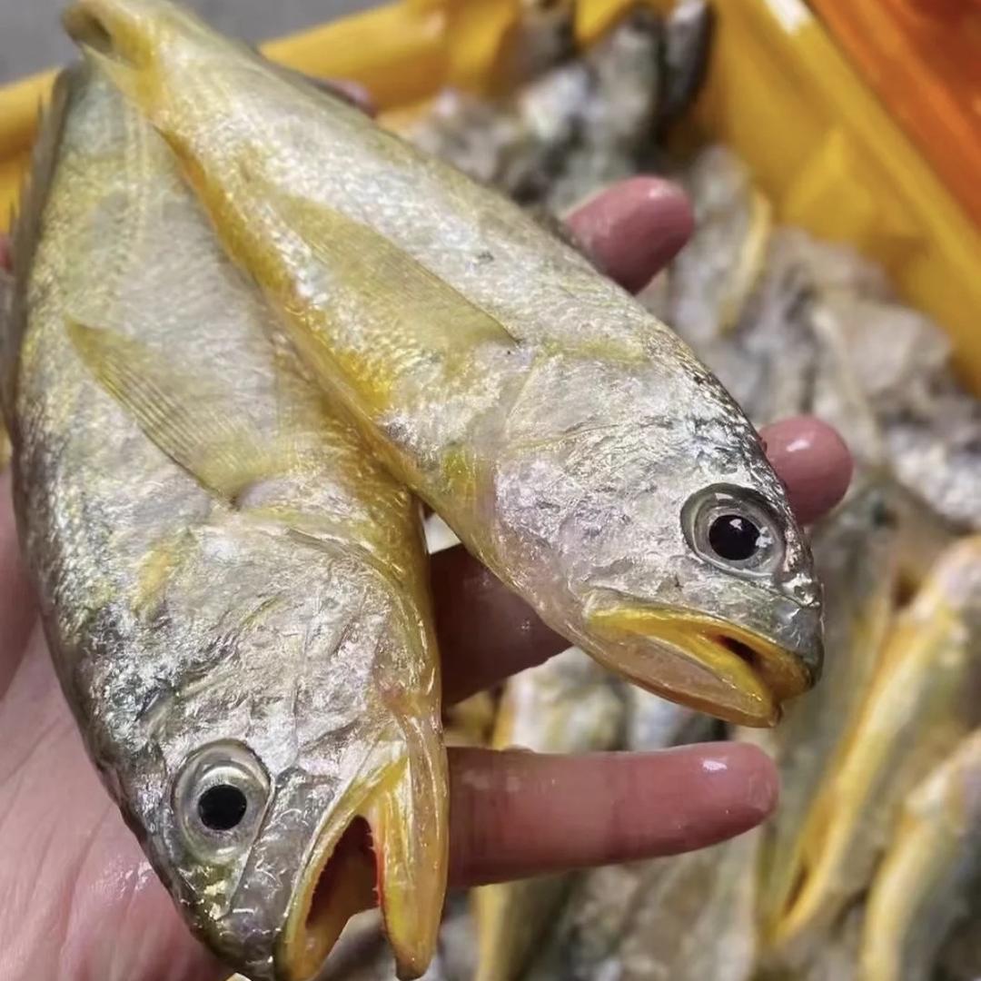 鲜多多海鲜原产地