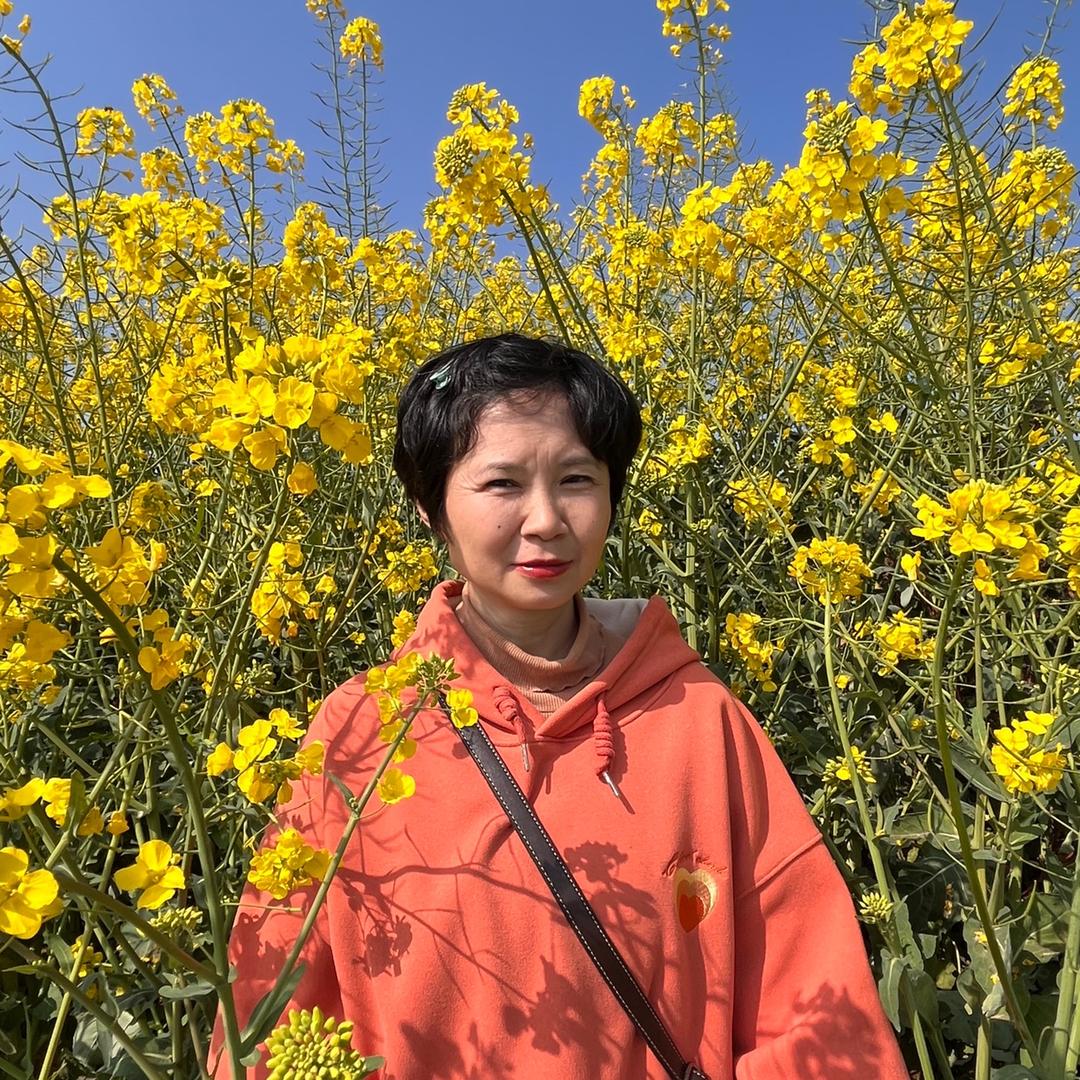 桔子姐2（首播筹备中）