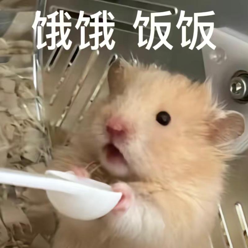 每天一杯蜜雪冰冰