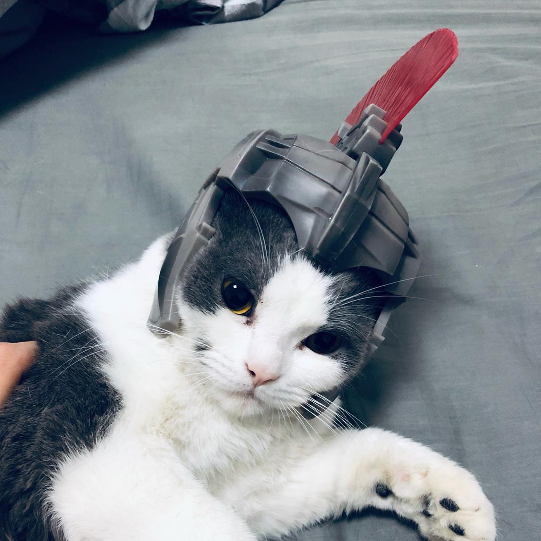 Yyyyyyz