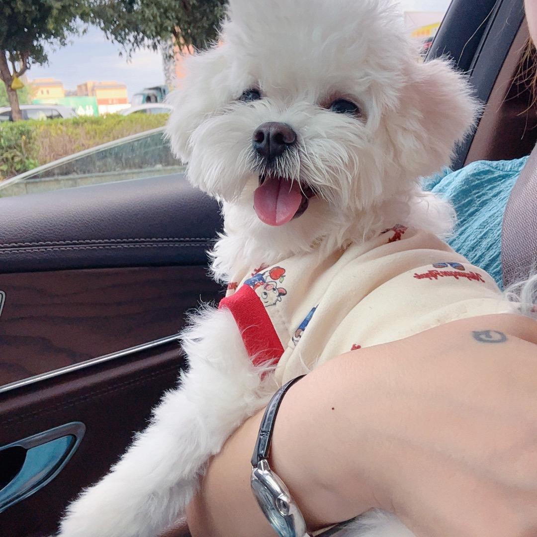 GG💙娜寶寶🌈