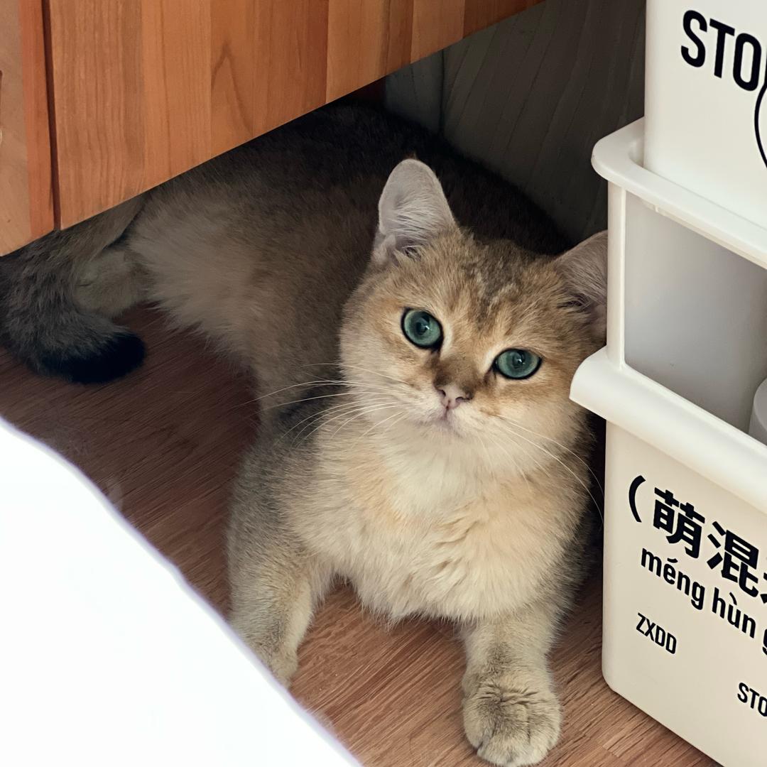 青禾 Hair Salon 俊