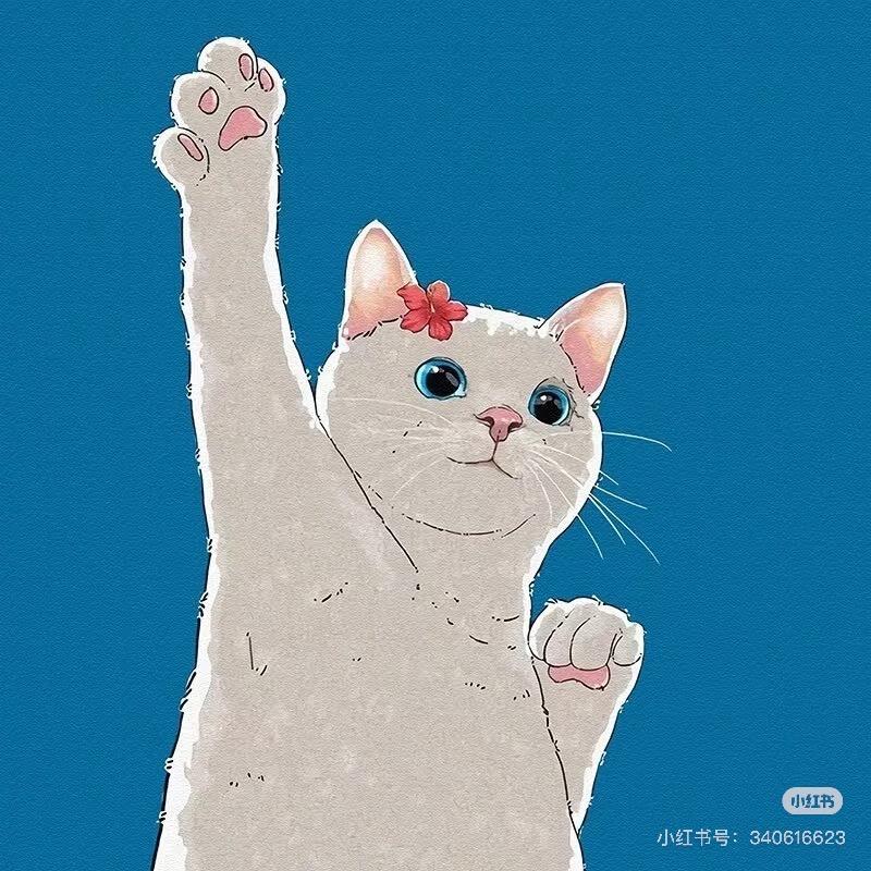 是名悅名明悅呀