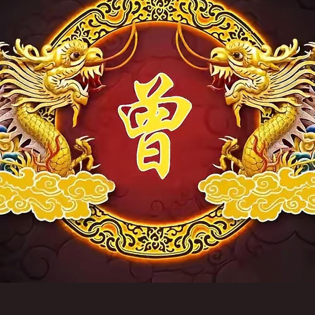 曾文辉（曾家人互相关注一下）