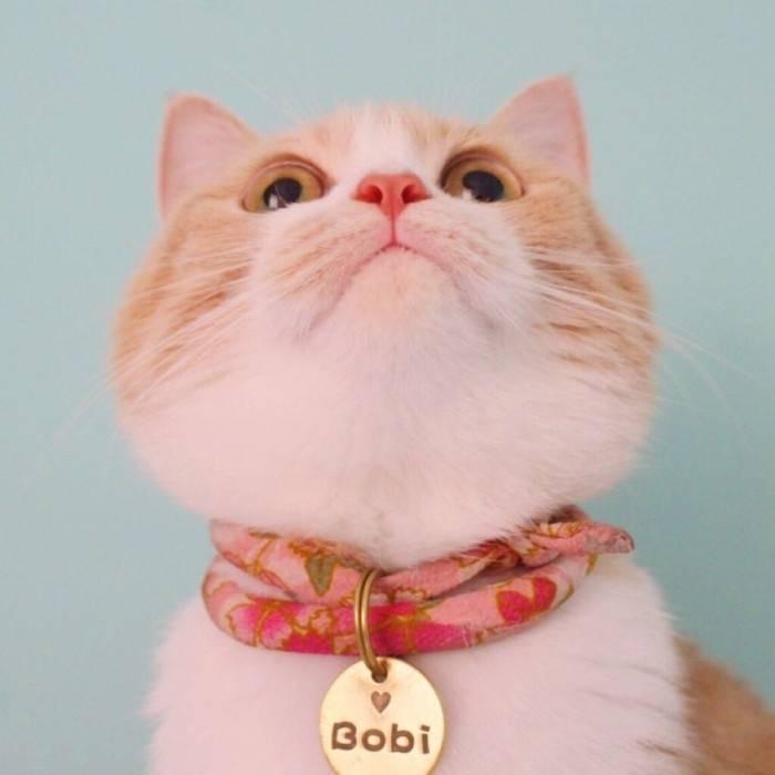 爱伊呀！！🐈🧸🎀🐰