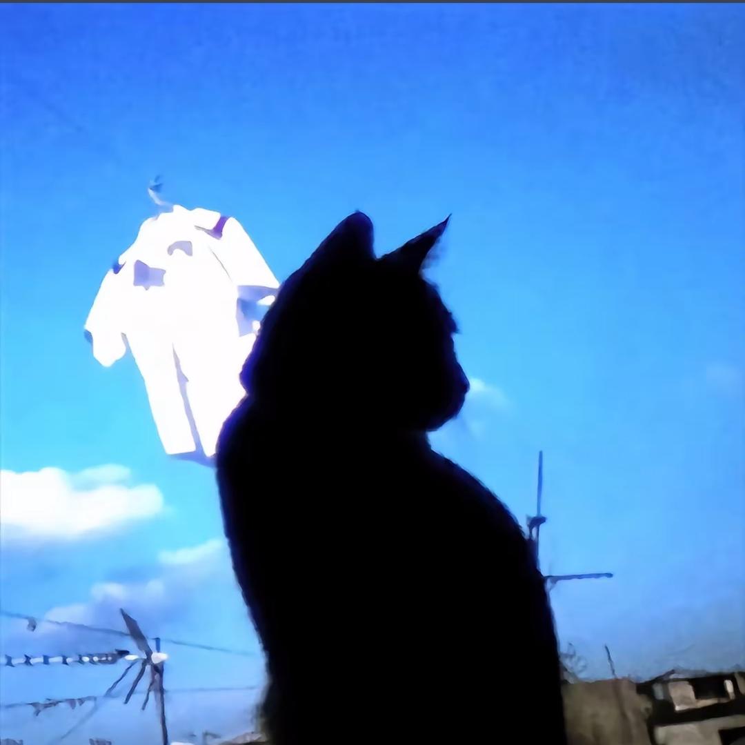 lin6u（无畏契约）