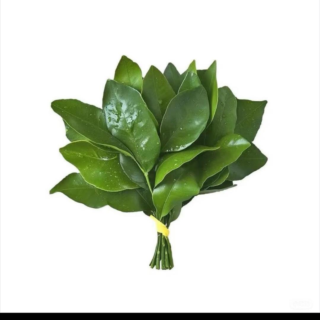 啊秀