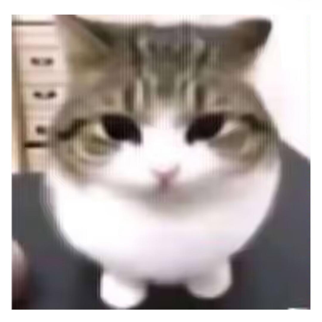 吃不胖的哈基俊