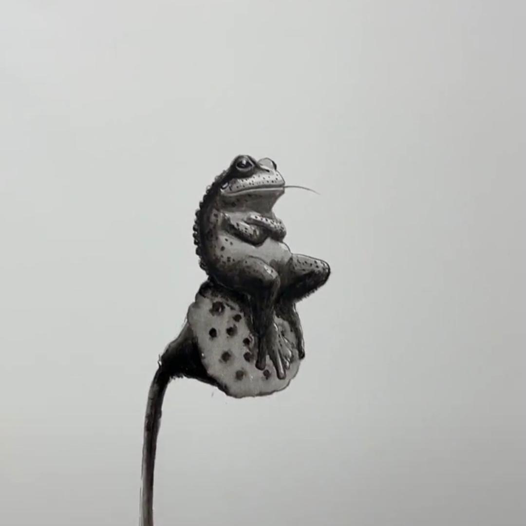 昙花
