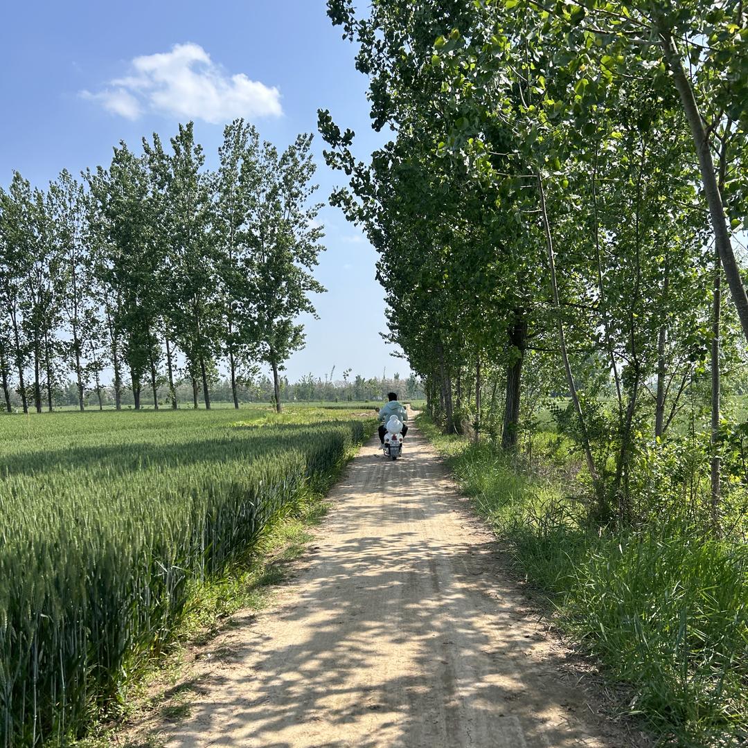 返乡创业滋补甄选