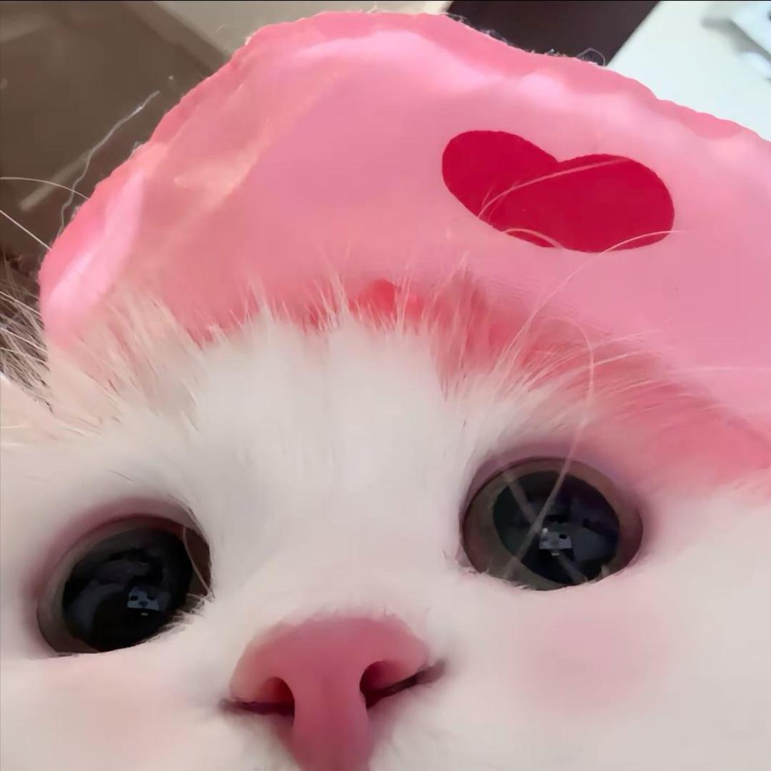 虾仁🐷心