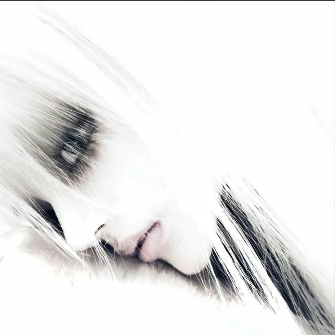 Yagami Light