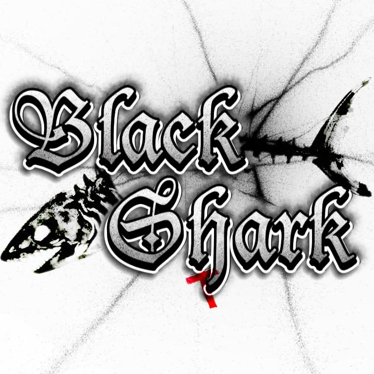 BlackShark饰品