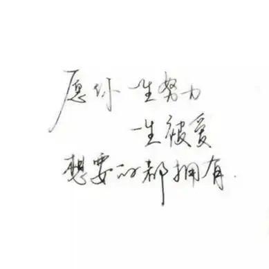 懂你🌹