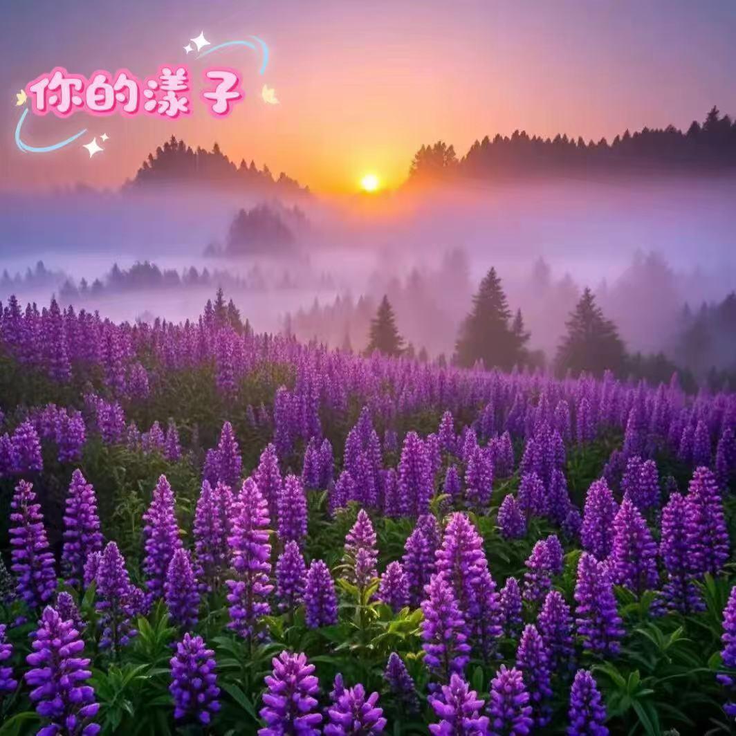 你的漾子
